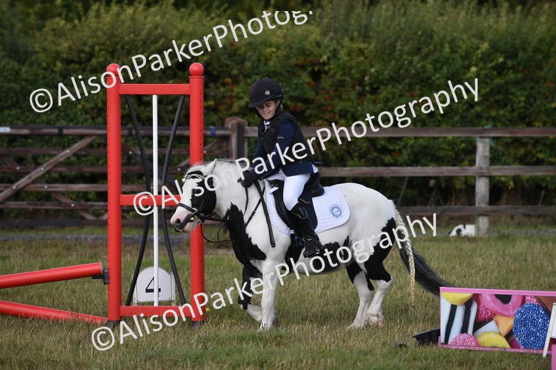 20250831-0477 - Class 7 - Absolute Novice 35cm