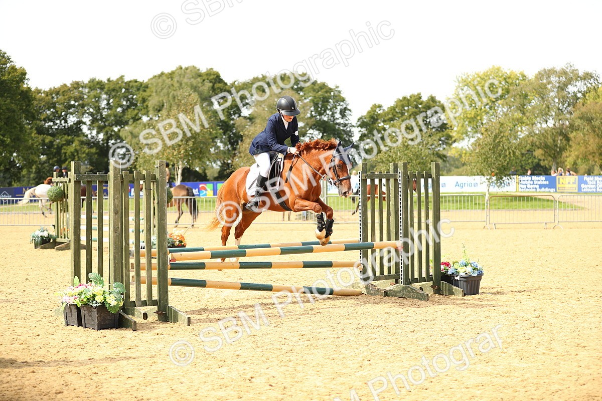 SBM_66146 - J17 - Junior Pony 80cm Championship