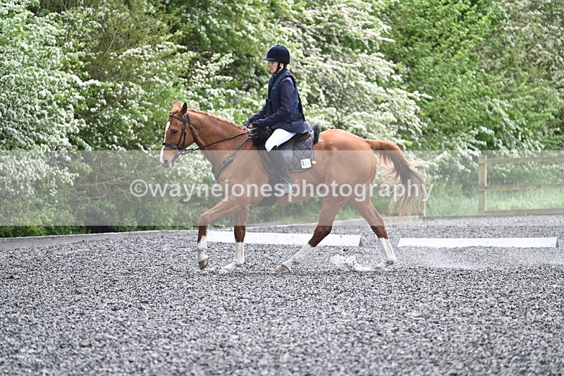 WJ7_0807 - Time 14:01 to 14:12