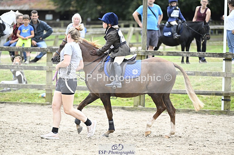 240822X-131305-07955 - 40cm LR R2 13.00 to 15.00