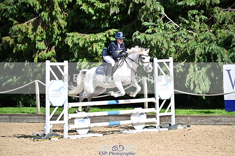 251005A-140457-04275 - Cls 09 Nov 80-85cm