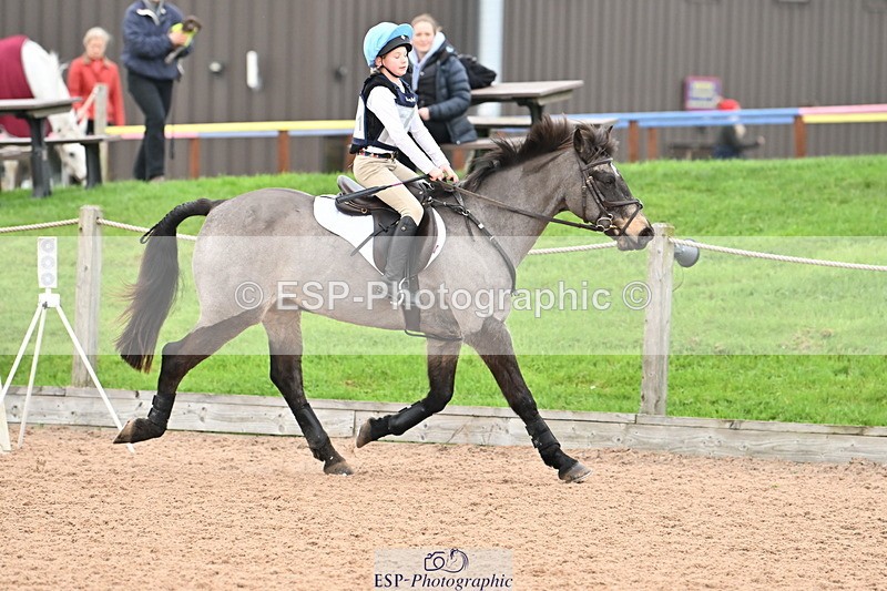 241110A-121905-00802 - 80cm 11.30 to End