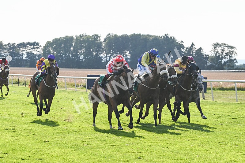 020825-Race 8-Dandy Dinmont-3893 - Race 8