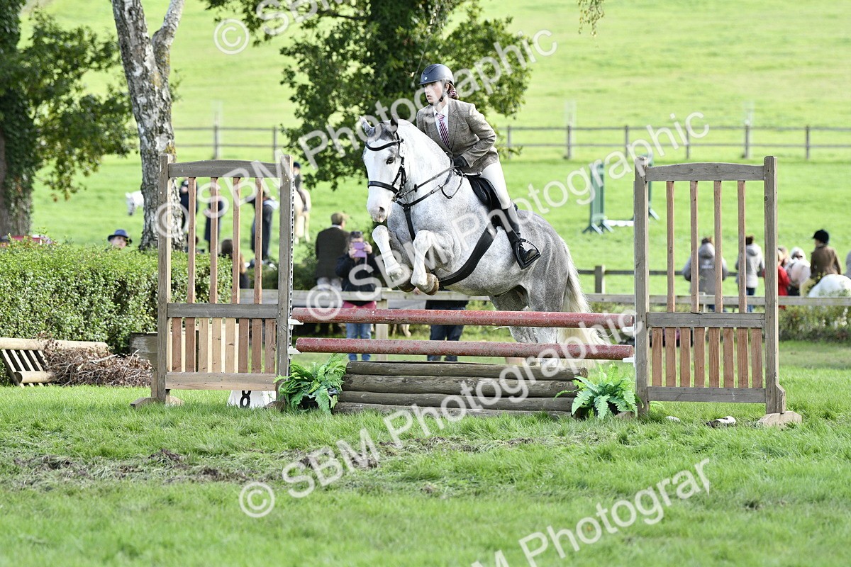 SBM_52198 - S35 - Working Hunter & Working Show Horse