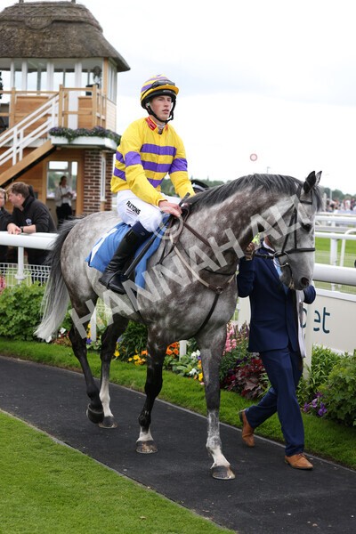 yr11062022r1-104 - Race 1 12.45pm Macmillan Ride of Their Lives, supported by Sky Bet
