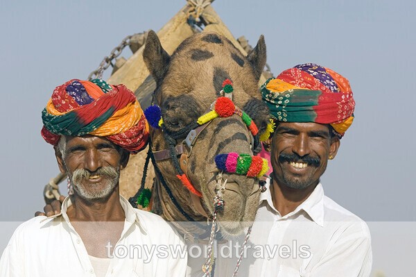 Smiling men and camel Pushkar camel fair  Rajasthan India - Smiling faces of the World