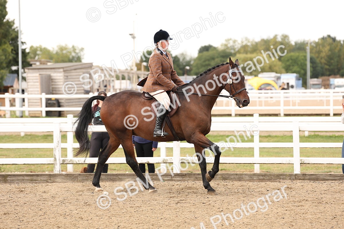 SBM_02867 - Class 53 - Ridden Competition Horse/Pony