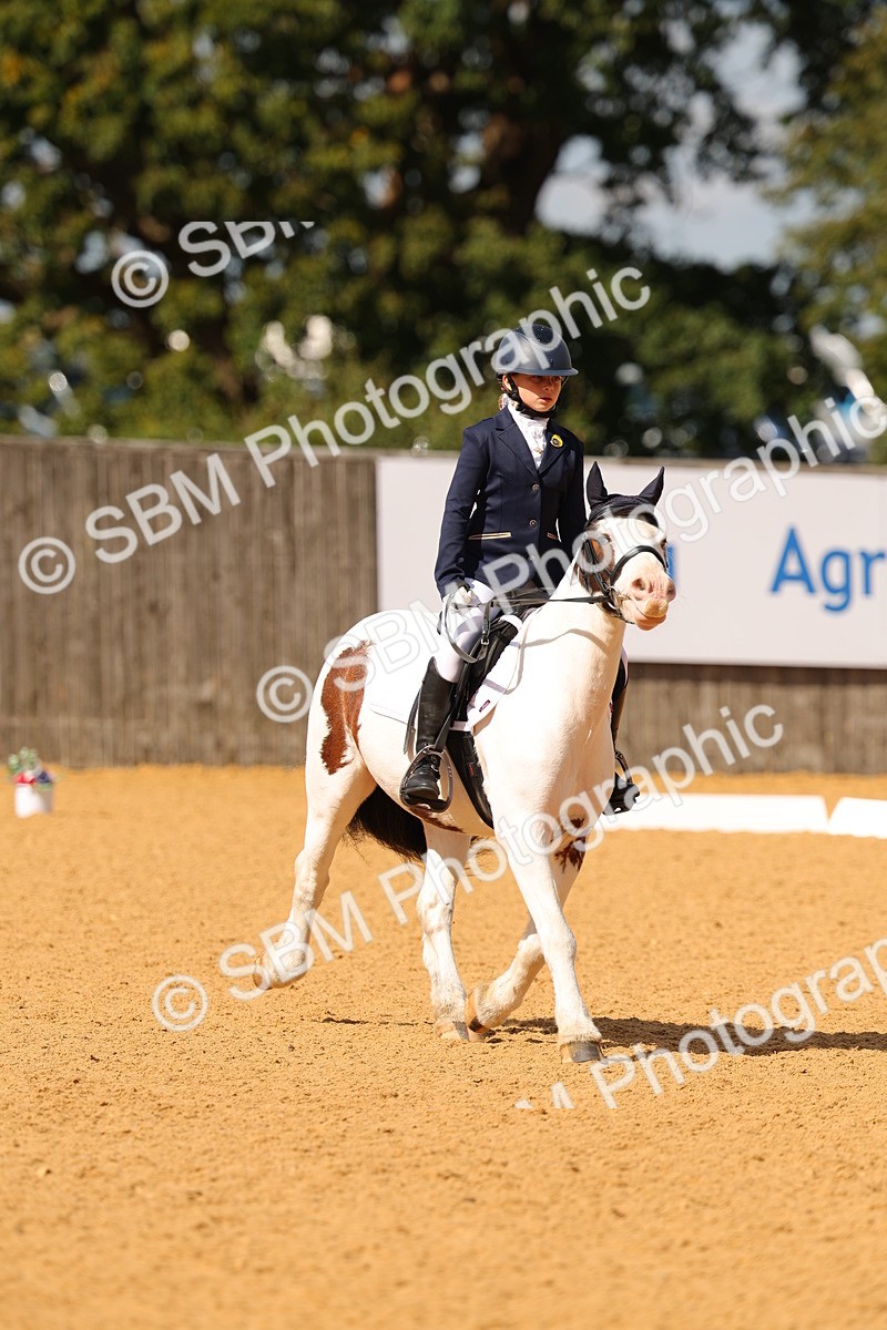 SBM_44080 - D22 - Junior Championship - Intro B