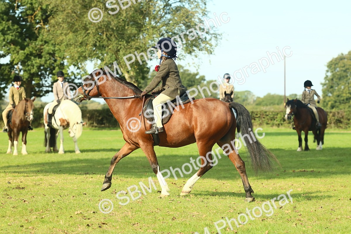SBM_59934 - S38 - Starters Ridden Showing