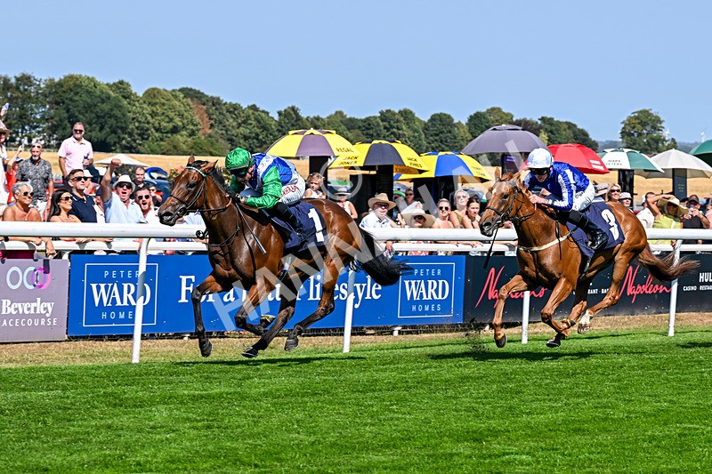 130826-Race 1-Not My Type-7861 - Race 1 14.15pm Racing TV Club Day EBF Fillies' Novice Stakes