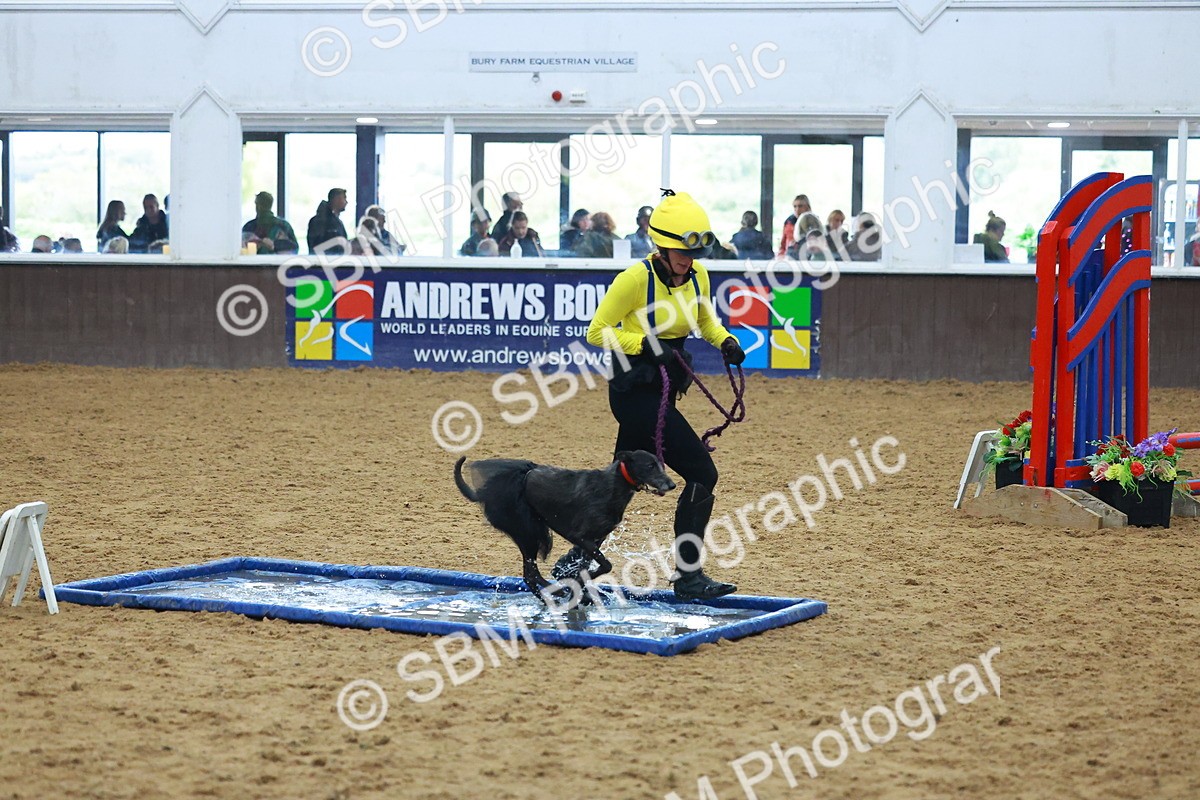 SBM_002335 - Class 3 - Horse & Hound (60cm)