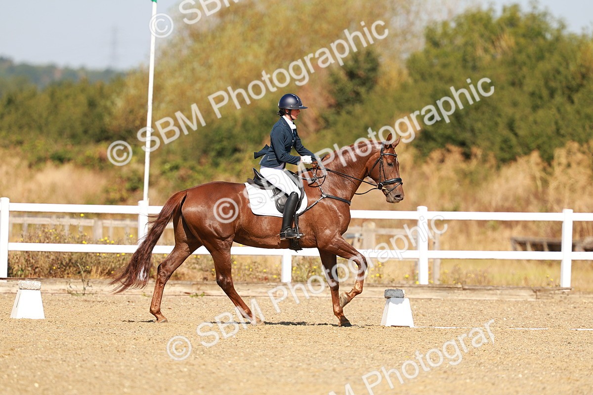 SBM_017514 - Class 9 - N5 Bronze 10.33.11.36