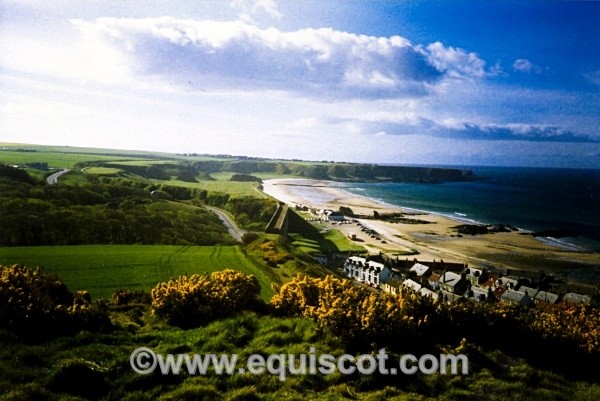 Cullen Bay from Castle Hill, Scotland - Wildlife & Landscape