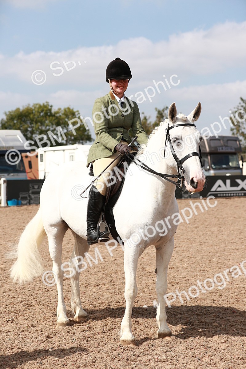 SBM_14882 - Class 212 Ridden Hunter - Small