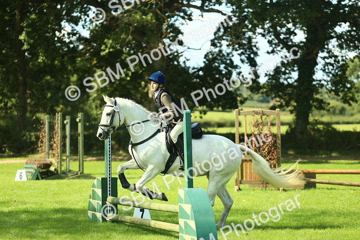SBM_39277 - S29 - Novice & Newcomers Working Hunter Pony