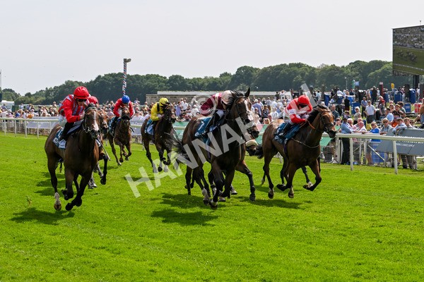 130625-Race 3-Easy Peeler-9020 - Race 3 3.00pm British EBF Supporting Racing With Pride Fillies' Handicap