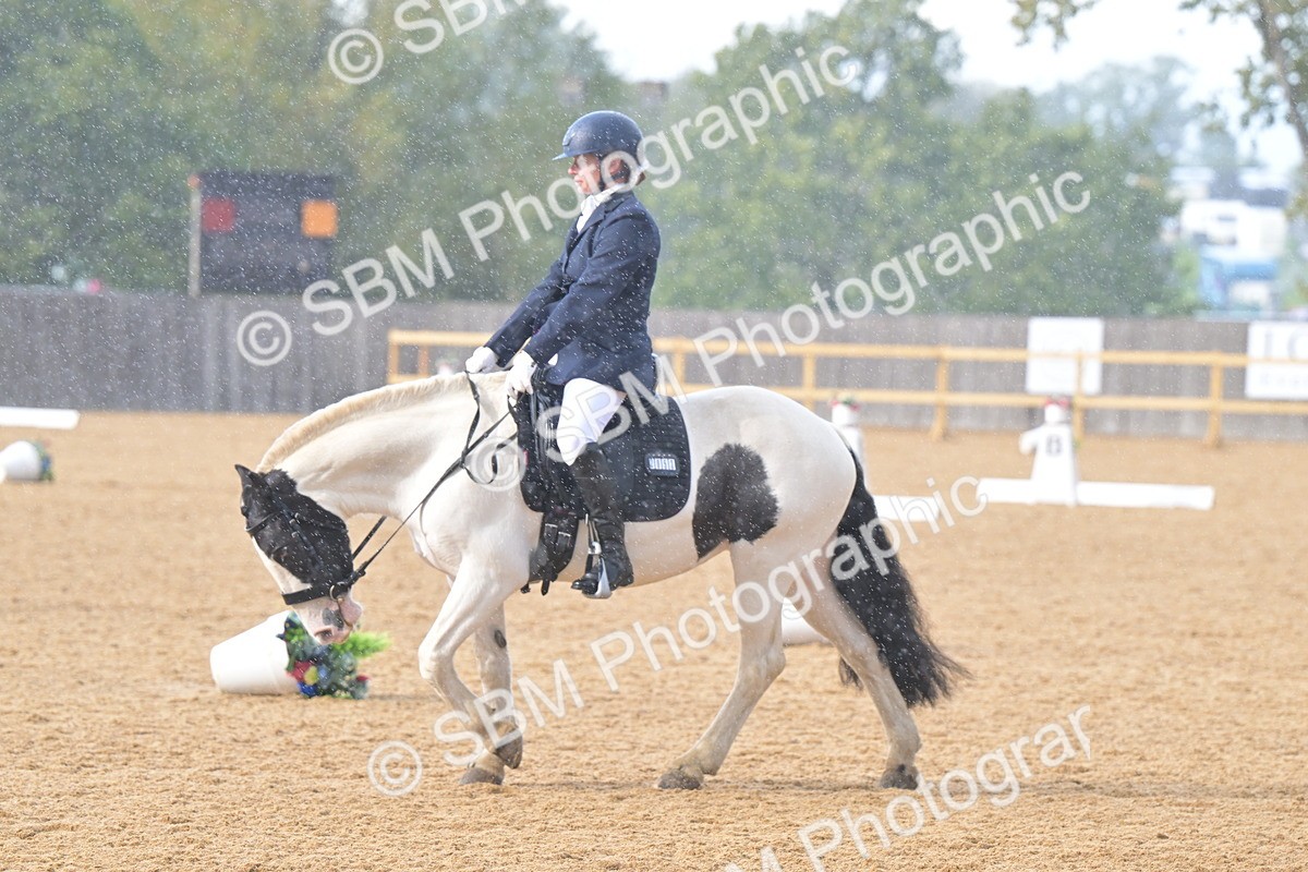 SBM_11187 - D3 - Small Tour Championship Intro 3