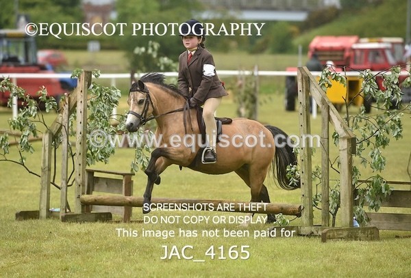 JAC_4165 - 30CM WORKING HUNTER