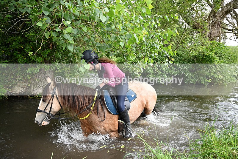 WJ7_2038 - Camera 2 Water Crossing