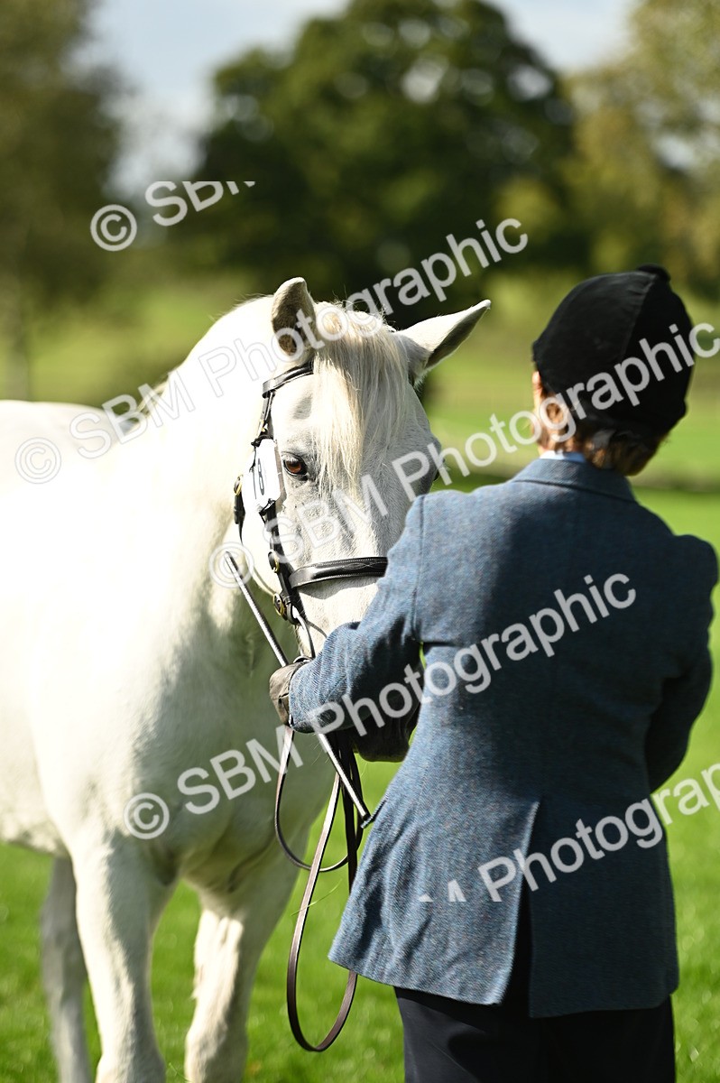 SBM_15904 - S1 - TSR in Hand Horse & Pony Showing