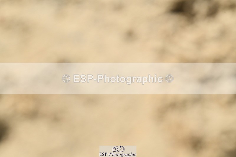 251004A-121836-00984 - Classes 4 & 5 50cm