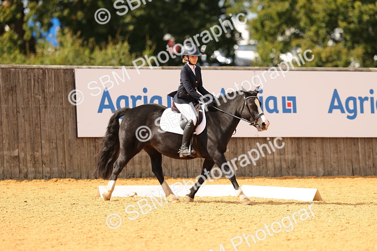 SBM_48200 - D22 - Junior Championship - Intro B