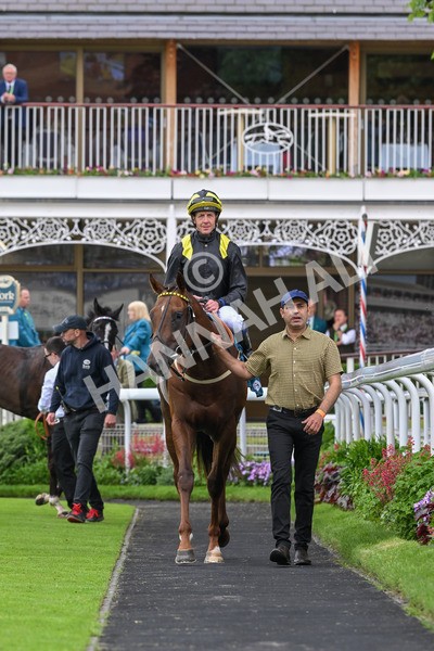 250524-Race 2-Arabie-3043 - Race 2 2.10pm Reg Bond 'Always And Forever' EBF Restricted Novice Stakes