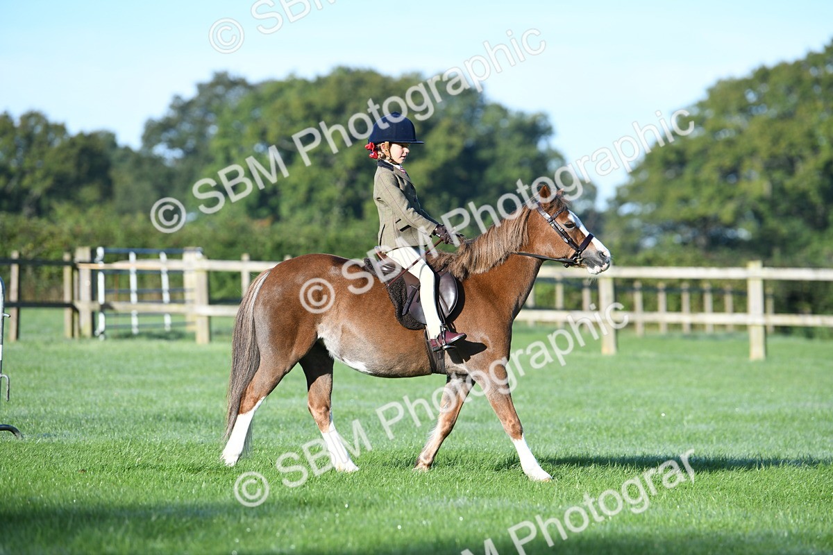 SBM_33906 - S16 - Condition & Turnout - Ridden