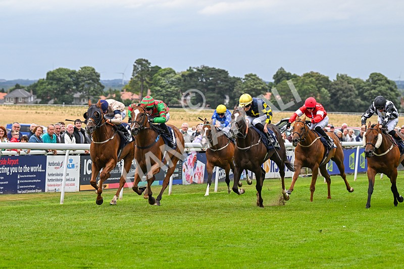 150824-Race 4-Opal Storm-8059 - Race 4