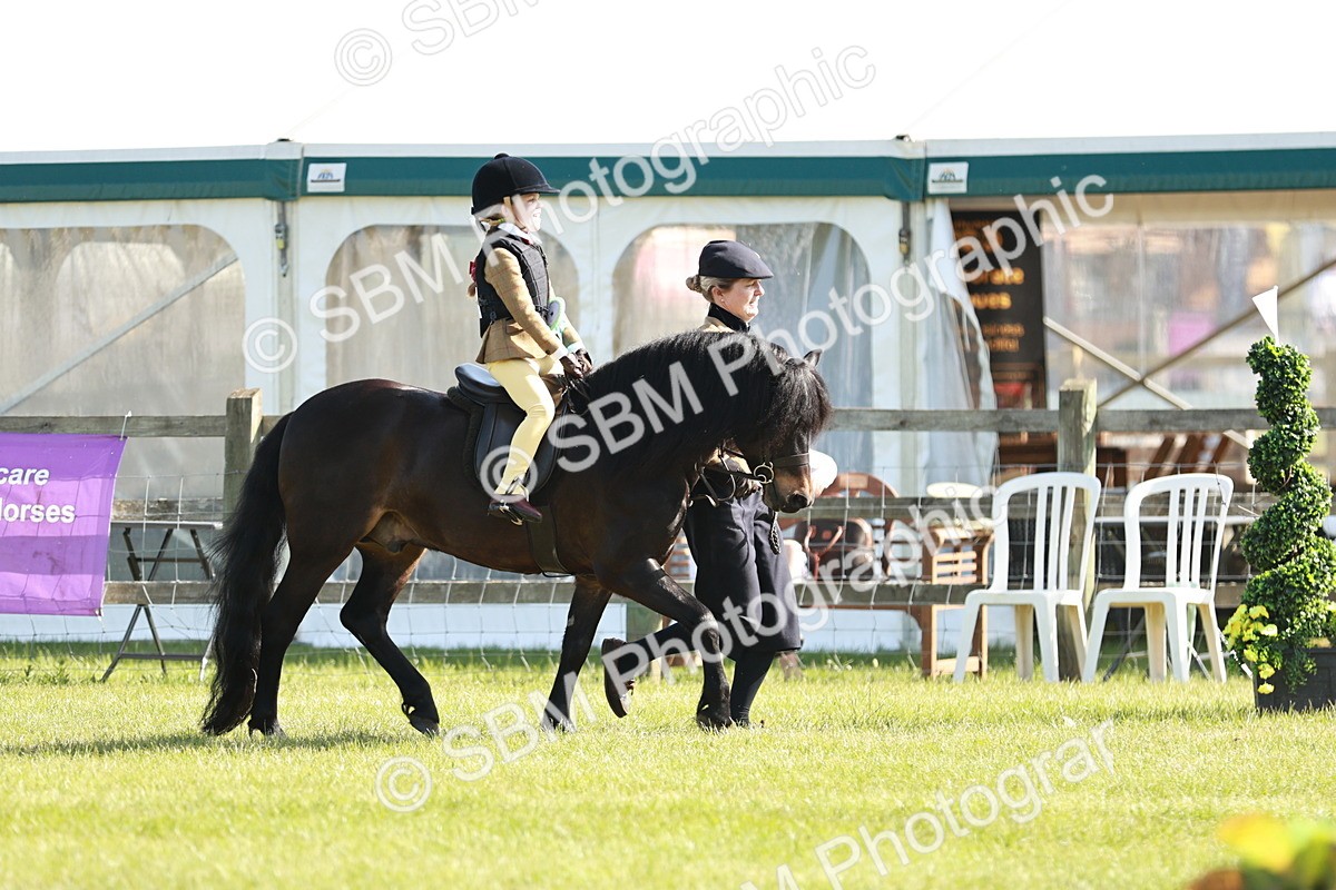 SBM_11361 - Class 106-107 - BSPS LIHS Working Sports Pony
