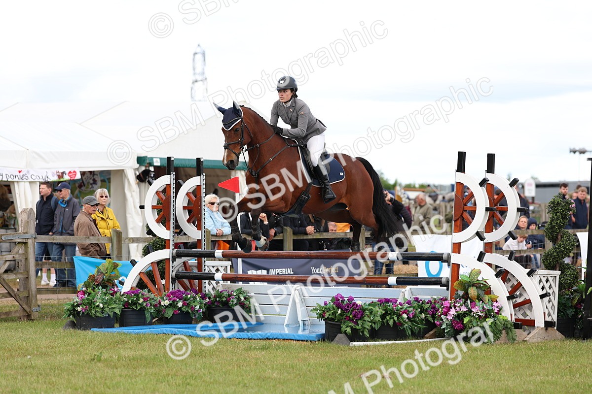 SBM_13800 - Class 206 - Senior Newcomers - 1.10m Open