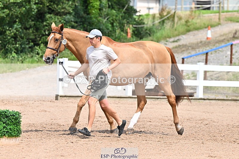 240718A-105319-01852 - Trot Up 1pm to 2pm