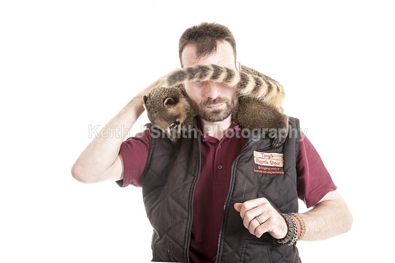 2SKJ8868 - Roaming Reptile Show. II