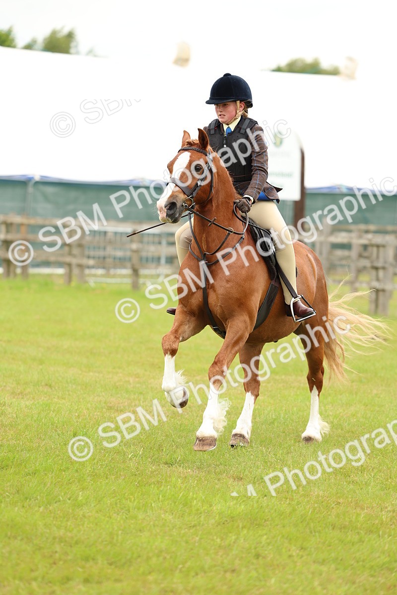 SBM_10348 - Class 44-45 - LIHS BSPS Open Nursery and Cradle Stakes