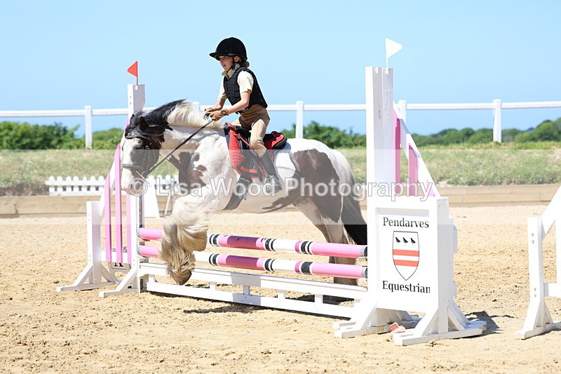 3E7A2593 - Class 4/5: 60cm Open Teams and Individuals