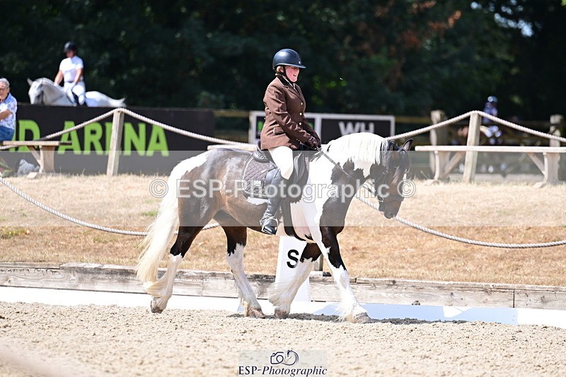 260802A-115154-06462 - Novice Bronze break - end