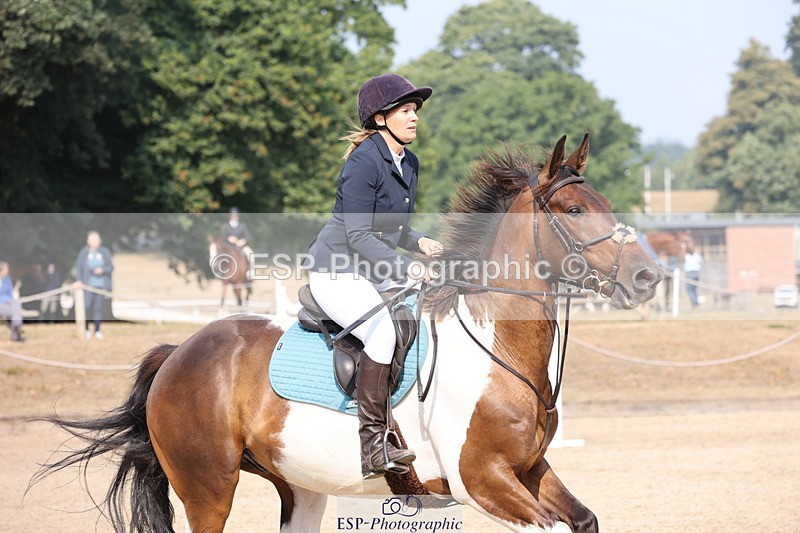 250816A-102111-00668 - Cls 3 Snr British Novice