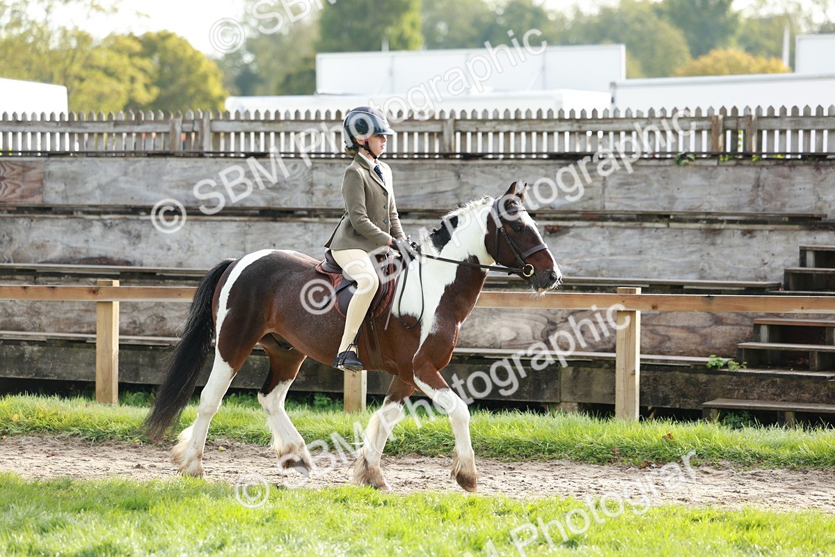 SBM_56378 - S39 - Starters In Hand Showing