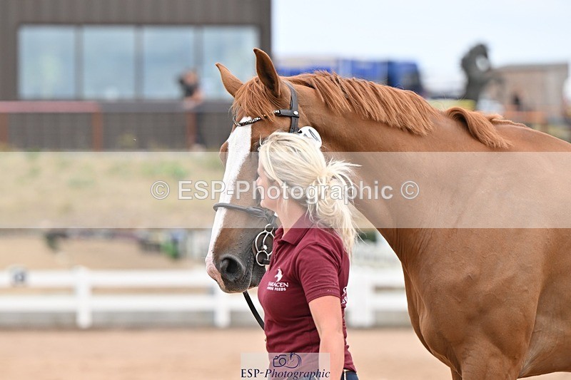 250716-160329-02375 - Trot Up 3.30 to 4.30