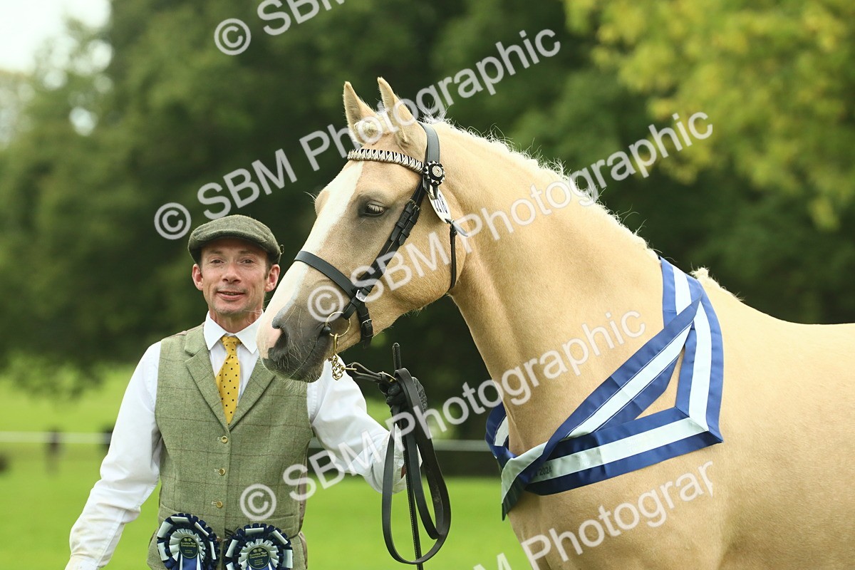 SBM_75202 - Super Supreme Championship