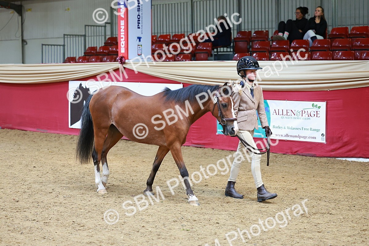 SBM_04252 - Class 9R - IH Pre-Vet