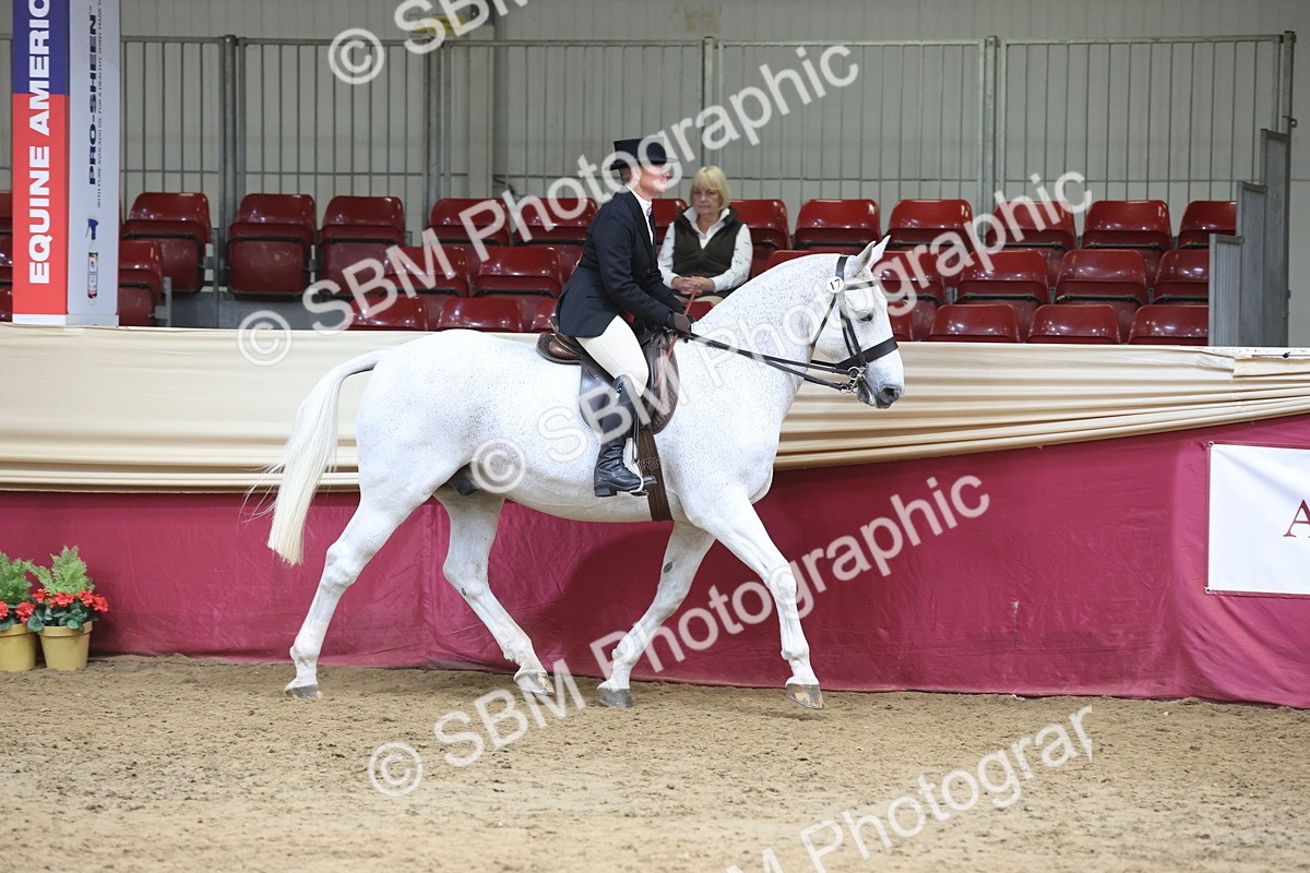 SBM_23690 - class 906 - Supreme Final - Ridden Pre Vet