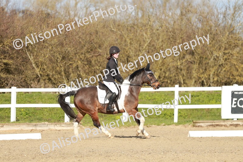 20260314-5300 - DR4 - Prelim 2