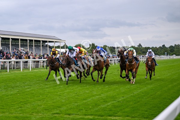 120724-Race 7-Lieber Power-6528 - Race 7 5.30pm William Hill Bet In Running Apprentice Handicap