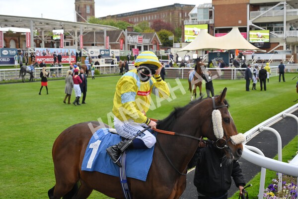 yr14052021r5-6 - Race 5 3.40pm The Jigsaw Sports Branding Handicap