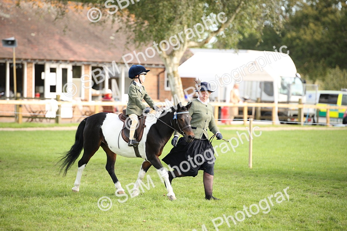 SBM_54283 - S27 - Mature Veteran - Ridden