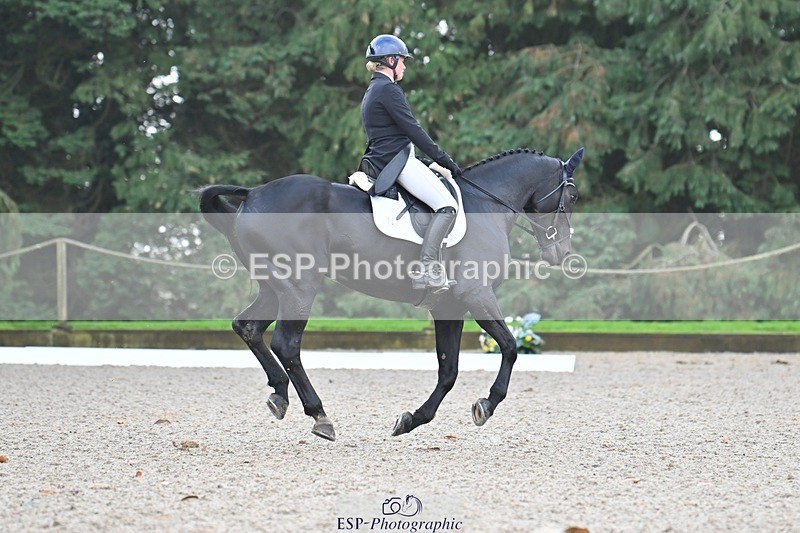 231019-104114-01924 - 102-BAGHEERA-Althea.Bleekman-DR