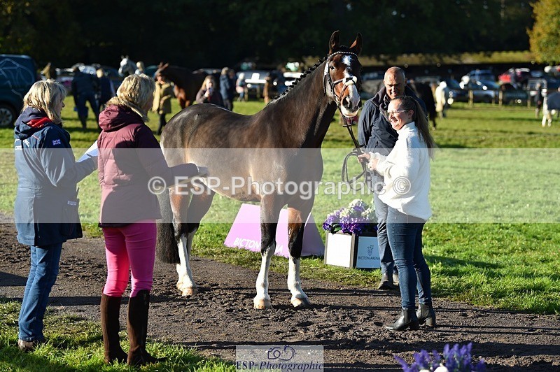 231022-094132-21975 - 444-REDHILL.SKANDEL-Emma.Stokes-TrotUp+SJ