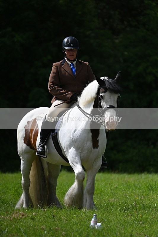 WJ7_1343 - Class 11 Condition & Turnout