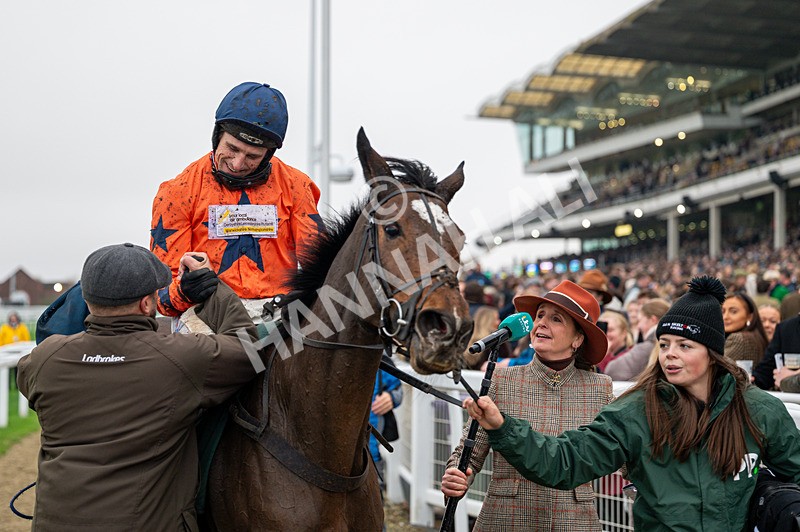 151125-Race 4-Panic Attack-0905 - Race 4